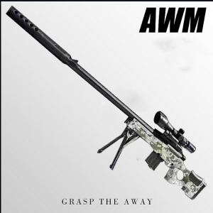 AWM Gun